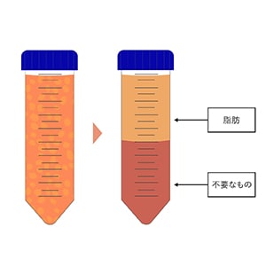 脂肪を加工 イメージ