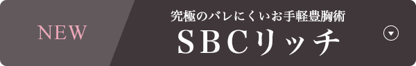SBCリッチ