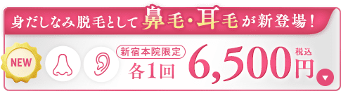 鼻毛・耳毛脱毛が新登場!
