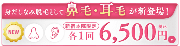 鼻毛・耳毛脱毛が新登場!