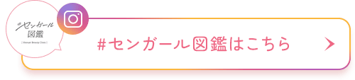 センガール図鑑はこちら
