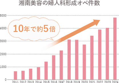 婦人科形成とは イメージ