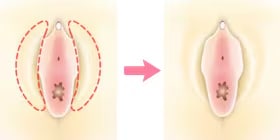 わかわかしい印象にしたい イメージ