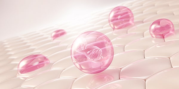 ハリ・ツヤの回復 イメージ