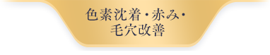 肝斑・赤み・毛穴