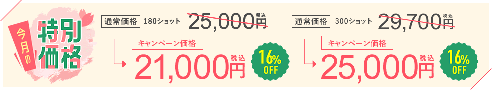 今月のキャンペーン