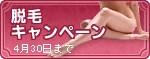 ��Ԃ�L�����y�[��