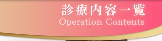 �{�p���e�ꗗ