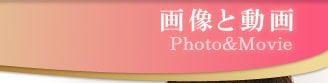 �摜�Ɠ���