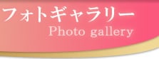 �t�H�g�M�������[