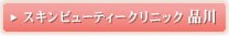 �X�L���r���[�e�B�[�N���j�b�N�@�i��@