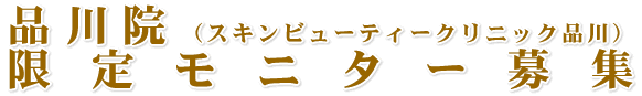 �X�L���r���[�e�B�[�N���j�b�N�i��