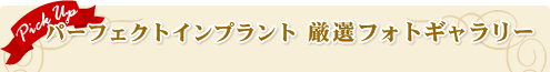 豊胸術 パーフェクトインプラント 厳選フォトギャラリー