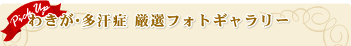 �킫���E�����ǁ@���I�t�H�g�M�������[