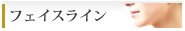 �t�F�C�X���C��