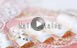 SBC�l�C���Љ�