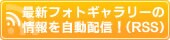 �ŐV�t�H�g�M�������[�̏��������z�M�I�iRSS�j