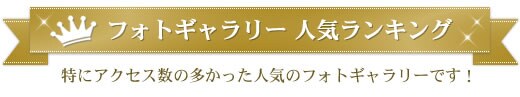 フォトギャラリー人気ランキング