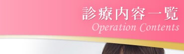 �f�Ó��e�ꗗ
