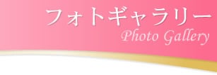 フォトギャラリー