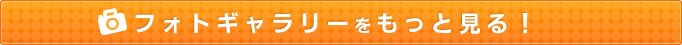 �t�H�g�M�������[�������ƌ���I