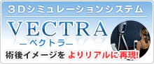 3D�V���~���[�V�����V�X�e���@�x�N�g���iVECTRA�j