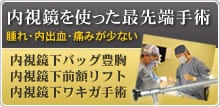 ���������g�����Ő�[��p