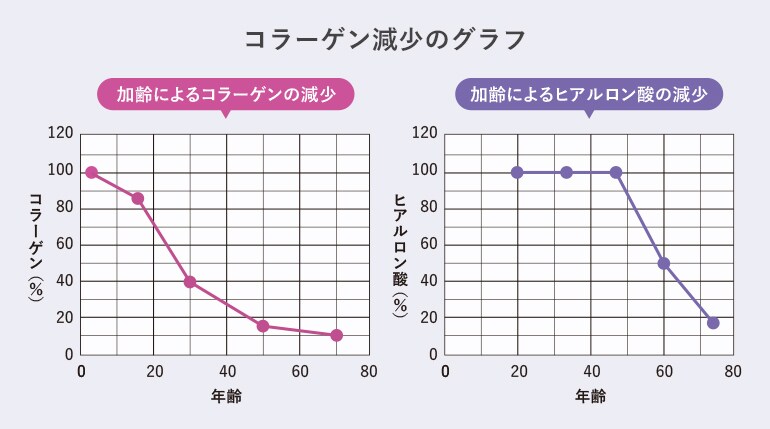 コラーゲン生成の促進 グラフ