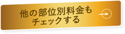 他の部位別料金もチェックする