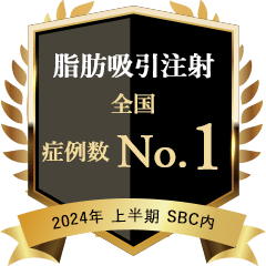 2024年上期 全国 脂肪吸引注射 1位