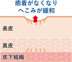 肌がなめらかになる