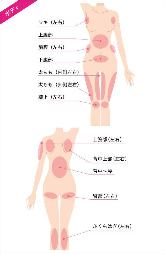 脂肪溶解注射 Bnls Neo 医療ダイエットなら湘南美容クリニック 公式