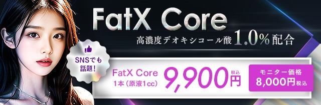 FatX Core