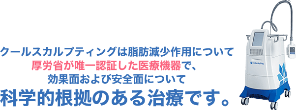 クールスカルプティング クルスカ 脂肪冷却 凍結 医療ダイエットなら湘南美容クリニック 公式