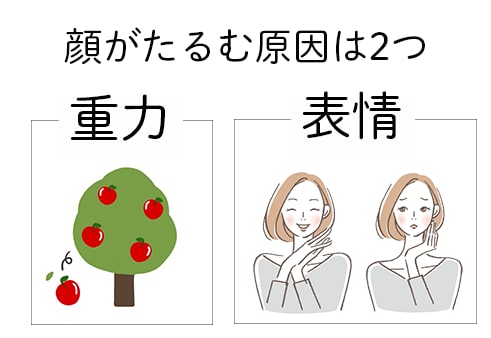 たるみがない人は〇〇