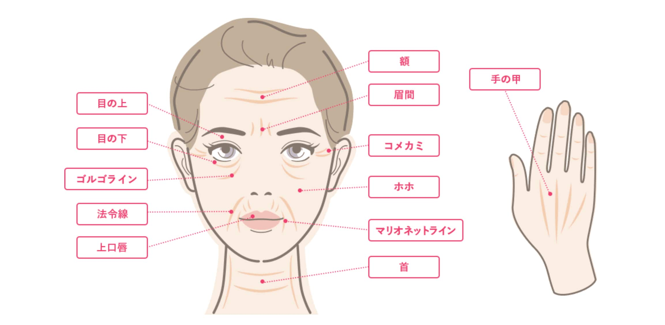 顔だけでなく首や手の甲にも