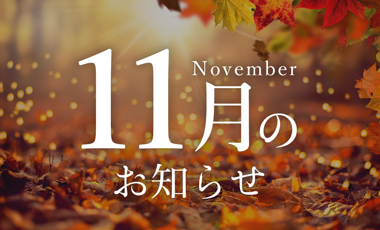 【湘南美容クリニック福岡院】11月のお知らせ