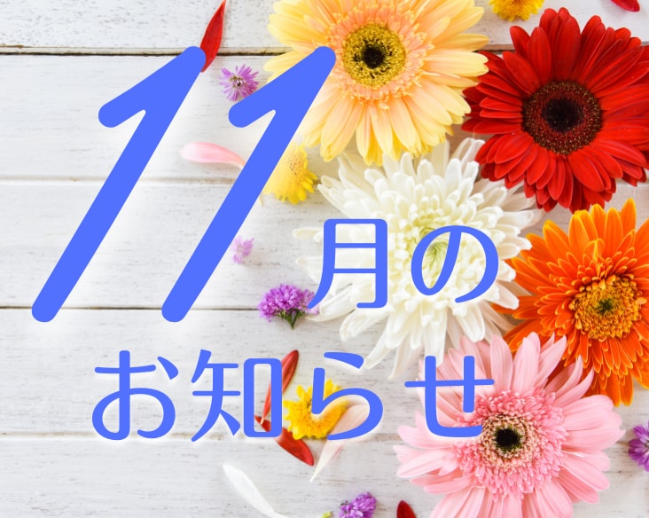 【11月のお知らせ】毎日変わりゆくキャンペーンが更新中❗️通常価格・モニター価格それぞれにお得なキャンペーン実施中！