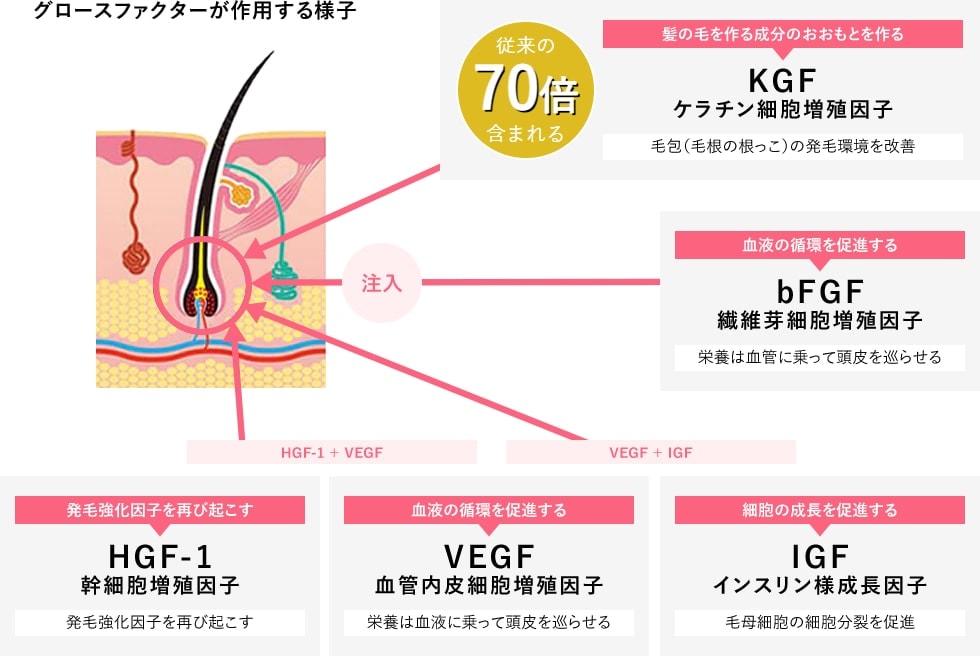 【頭皮用の成長因子様トリートメント配合】クイックメソ プレミアム（成長因子BENEV）