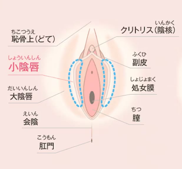 ②カスのような臭い・尿の臭い