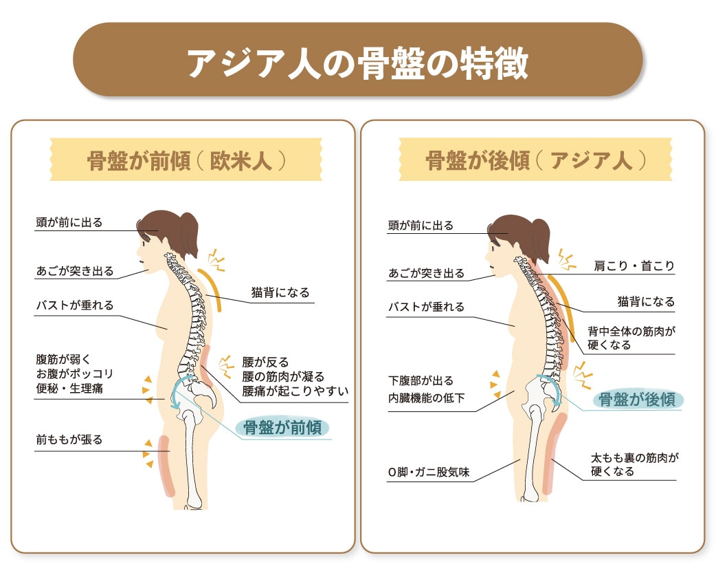 アジア人のお尻の特徴