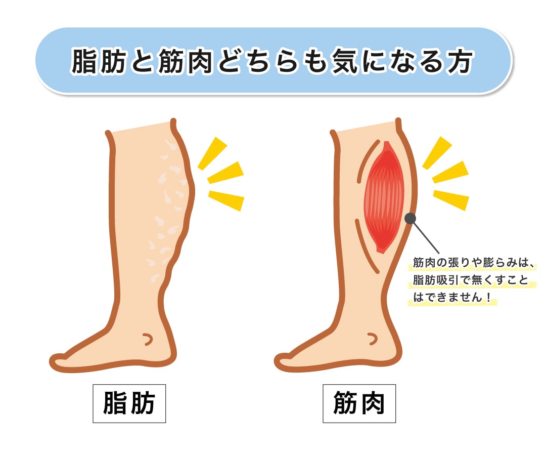 脂肪と筋肉のどちらも気になっている方