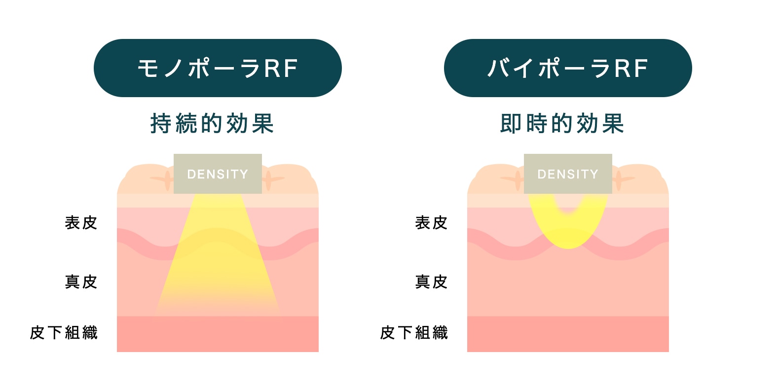 持続的効果+即時的効果