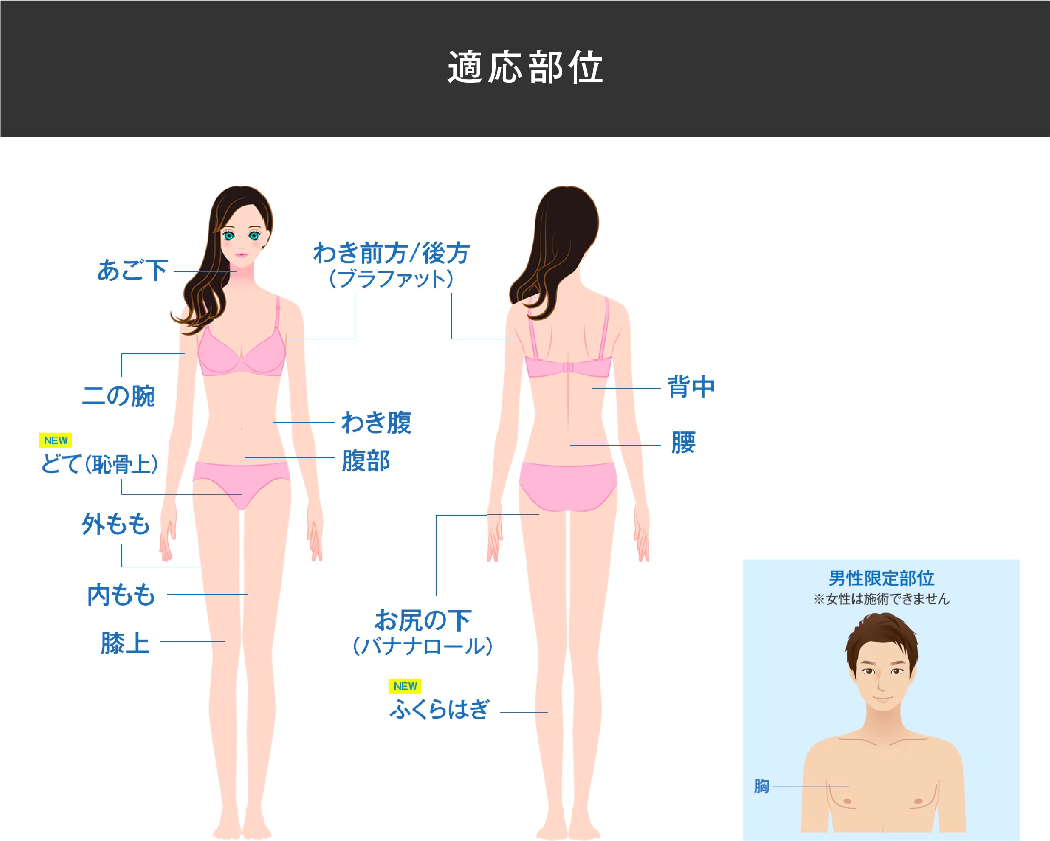 お顔・二の腕・お腹・太もも…ほぼ全身OK！