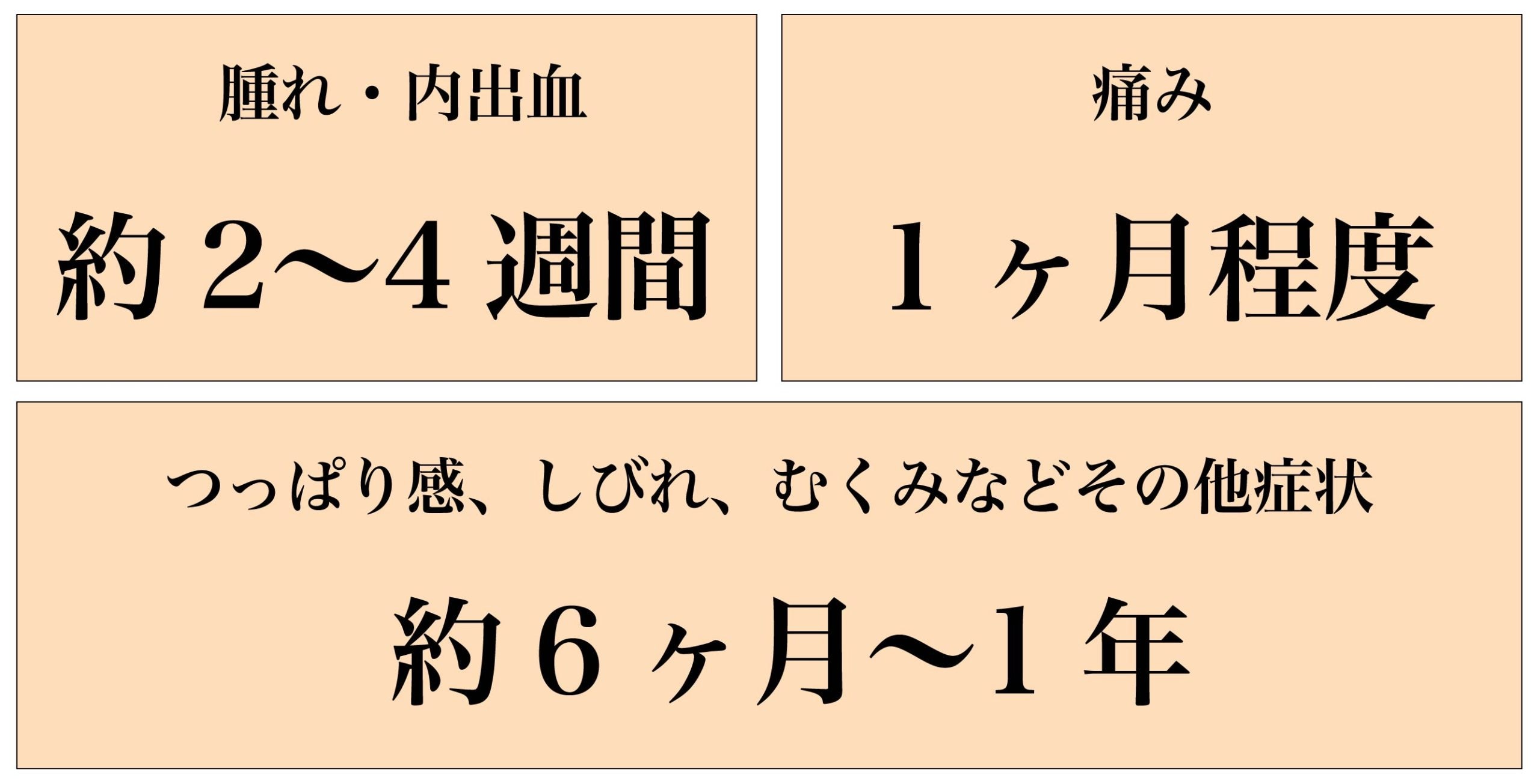 ダウンタイム及び仕上がりの目安