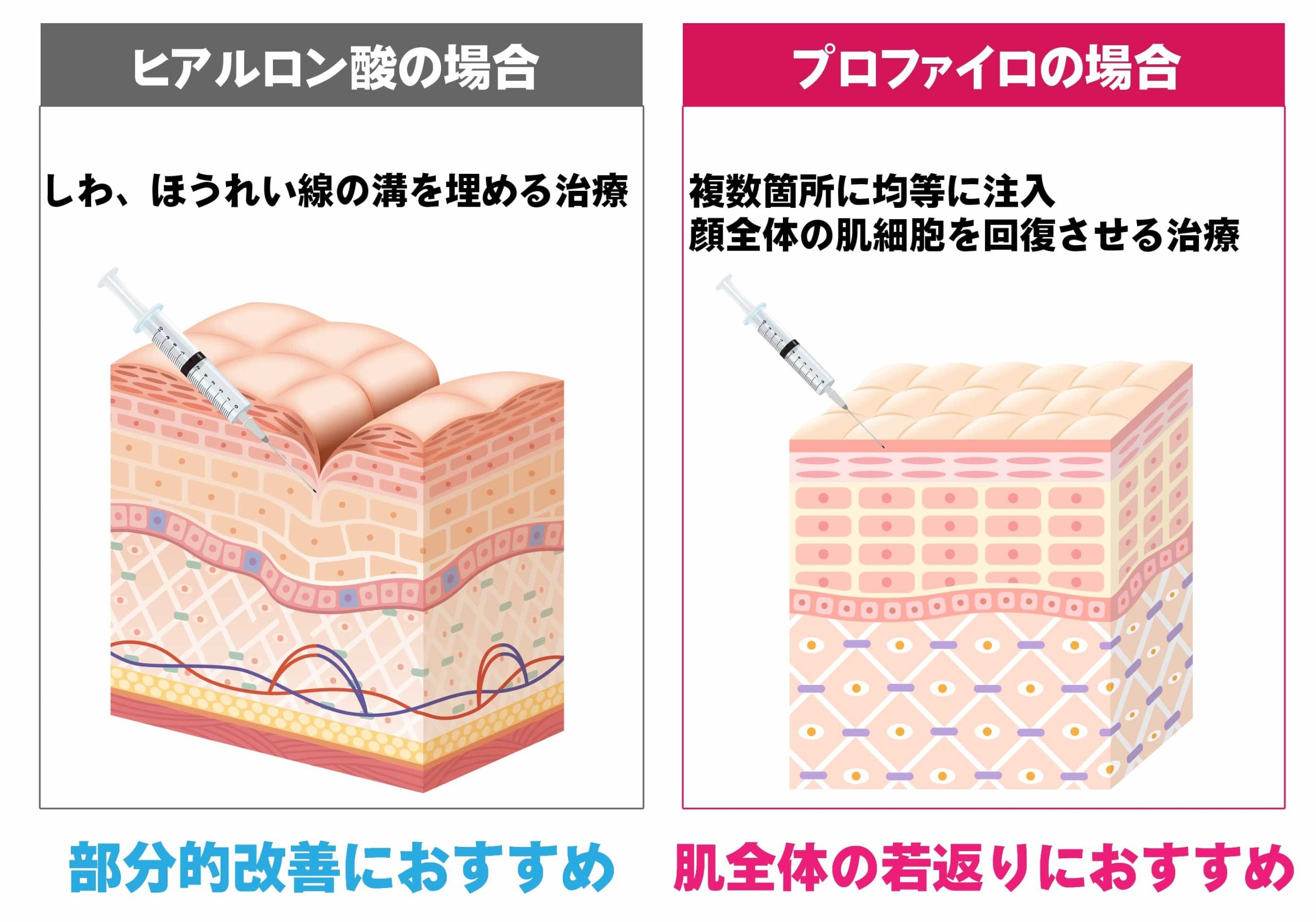 皮膚細胞から若返り