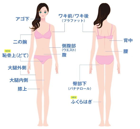 クルスカの適応箇所は？