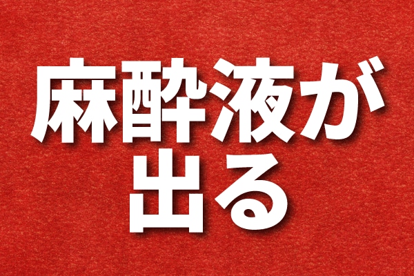 ①耳裏の傷口から赤い麻酔液が出る