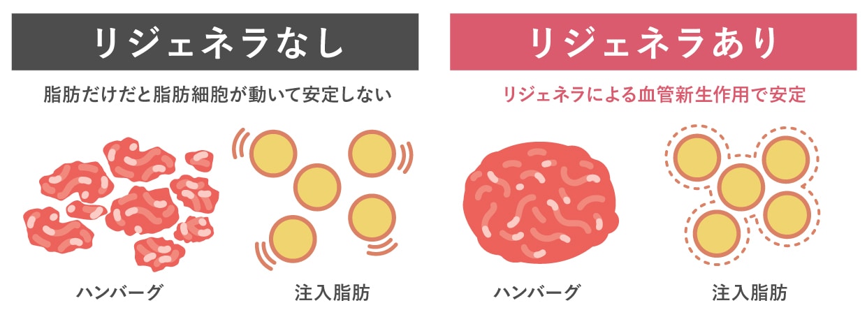 よく「ハンバーグのつなぎ」に例えられます