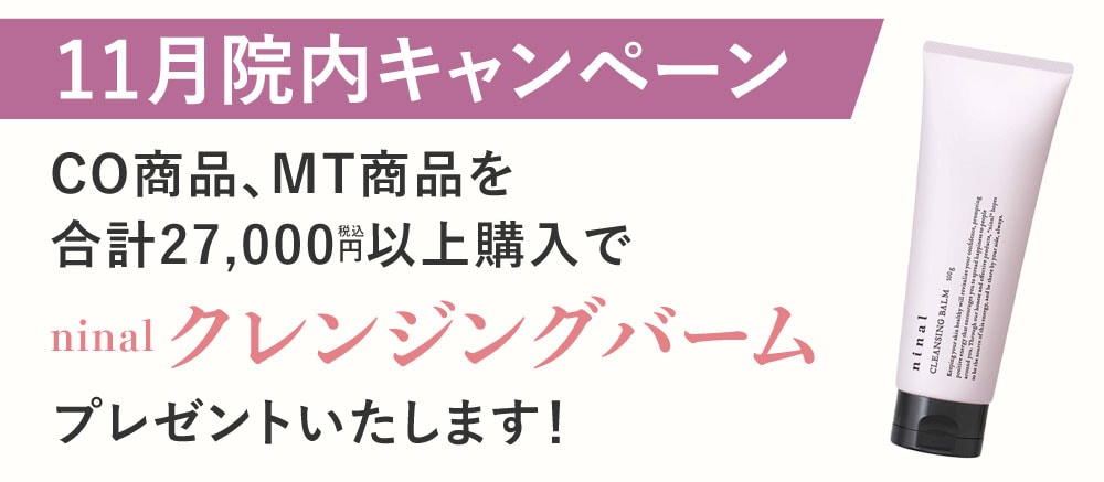 一定金額以上お購入でプレゼント